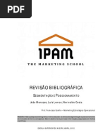 Revisão Bibliográfica - Segmentação e Posicionamento
