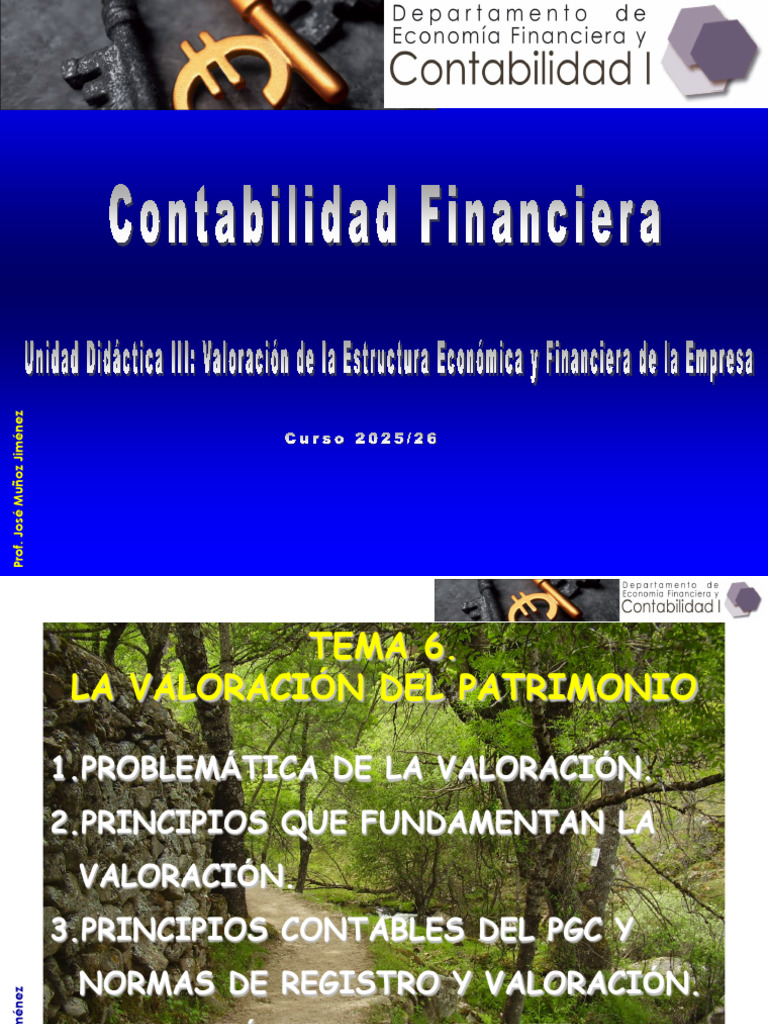Tema 6 Contabilidad | PDF | Contabilidad | Estado financiero