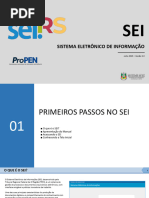 Manual do Usuário do SEI 5.0 | PDF | Processo (informática) | Informação