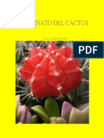 El Asesinato Del Cactus