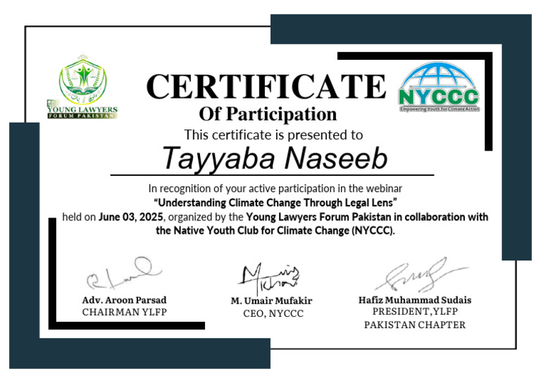 Tayyaba Naseeb | PDF