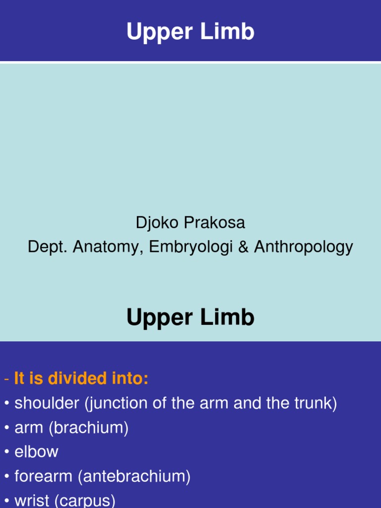 Clinical Anat Upper and Lower Limb | PDF | Arm | Hand