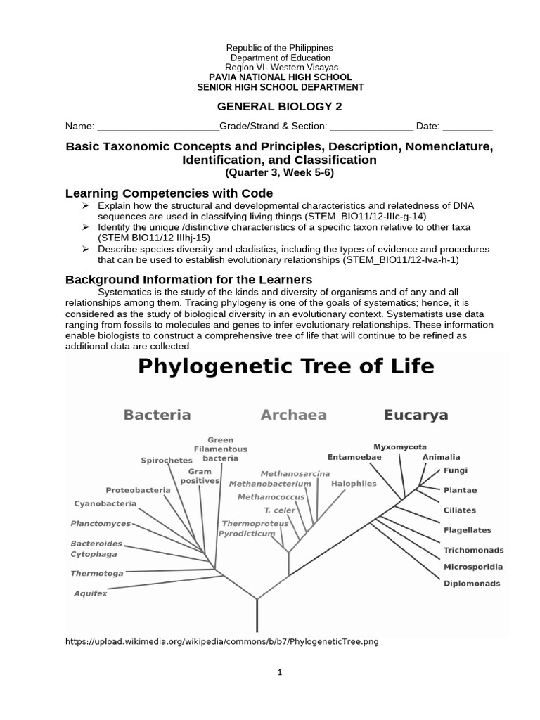 General Biology 2 Qtr 3 Week 5 A4 | PDF | Phylogenetic Tree | Homology ...
