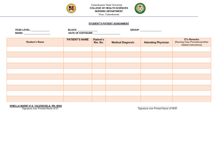 Student Patient Assignment Rle | PDF