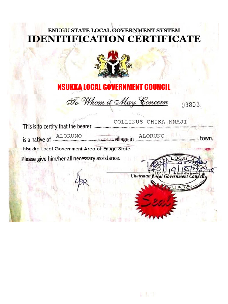 Enugu State Local Government Certificate | PDF