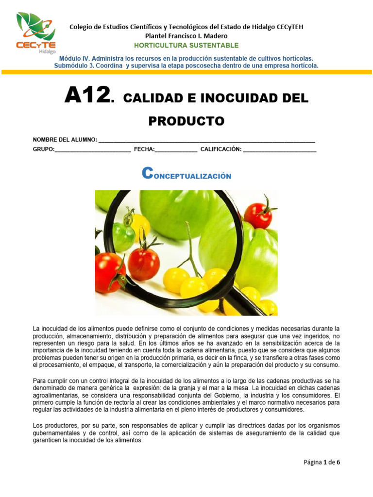 Inocuidad y Calidad en Horticultura | PDF | Seguridad alimenticia ...