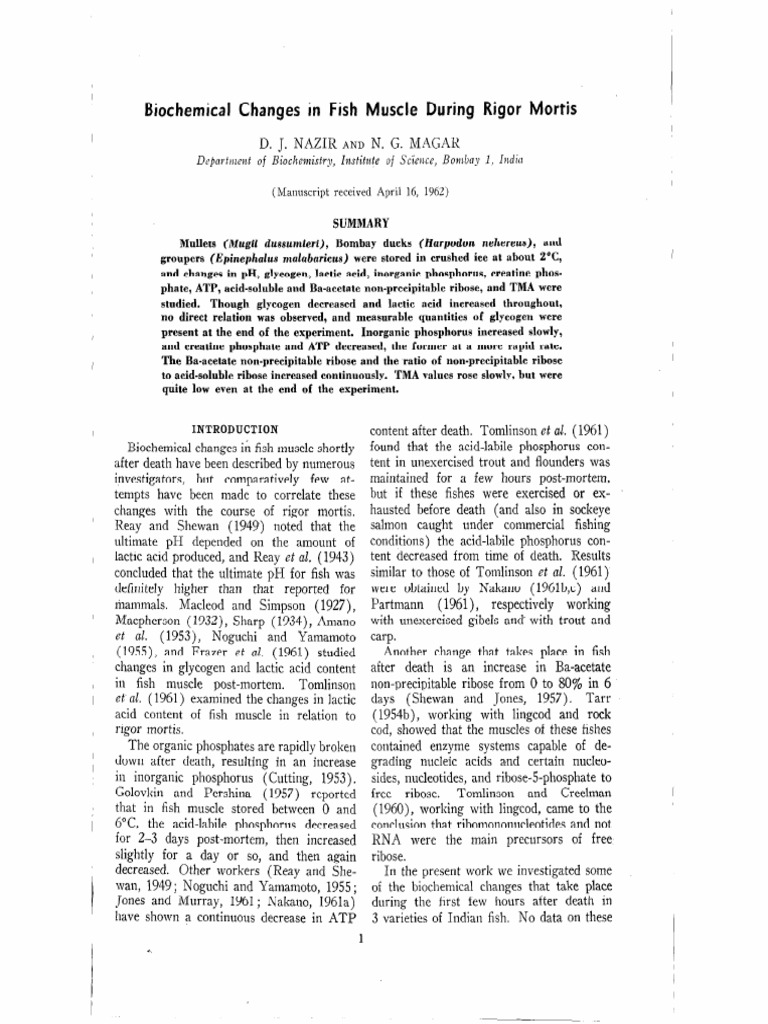 Biochemical Changes in Fish Muscle During Rigor Mortis | PDF | Glycogen ...