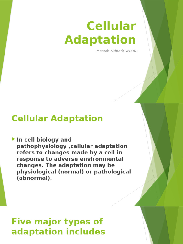 Cellular Adaptation 3rd semester BSN | PDF | Atrophy | Epithelium