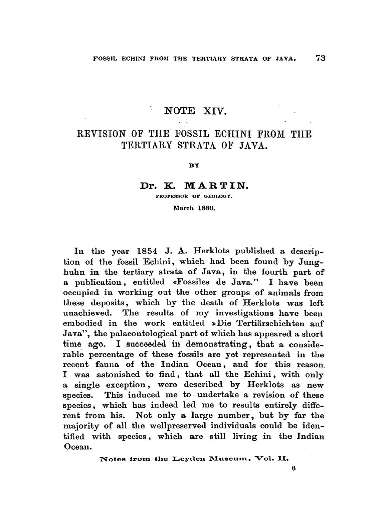 Revision Echinoids Java Martin | PDF | Paleontology