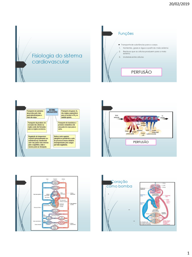 Fisiologia do Sistema Cardiovascular | PDF | Coração | Sistema circulatório