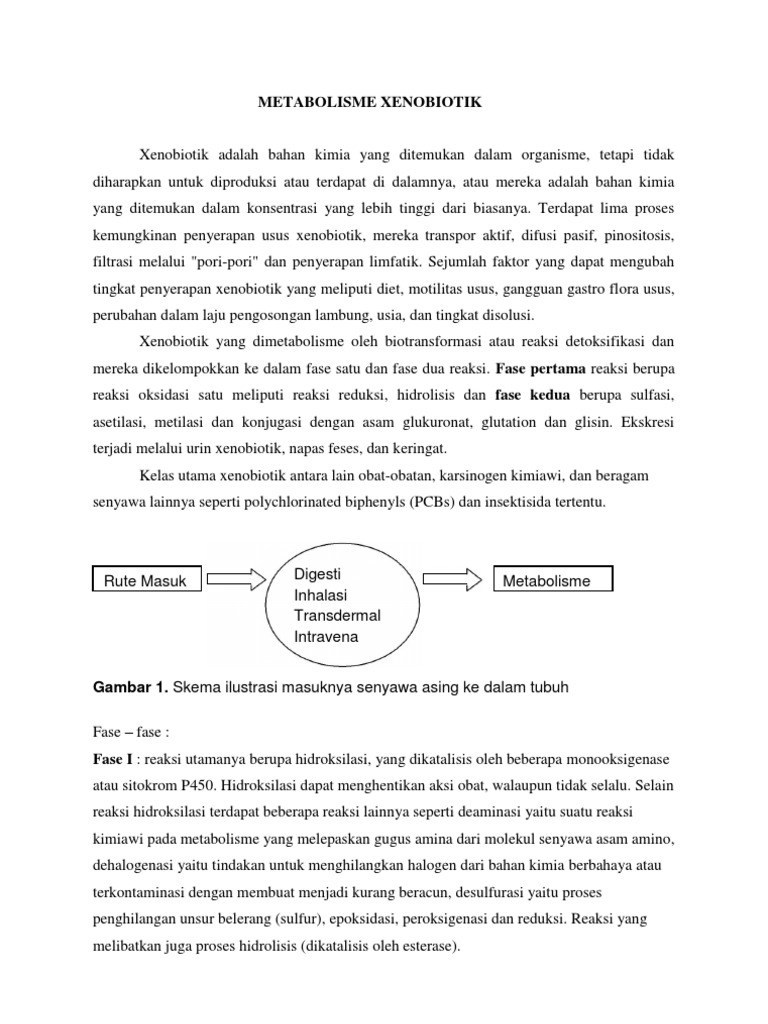 Metabolisme Xenobiotik