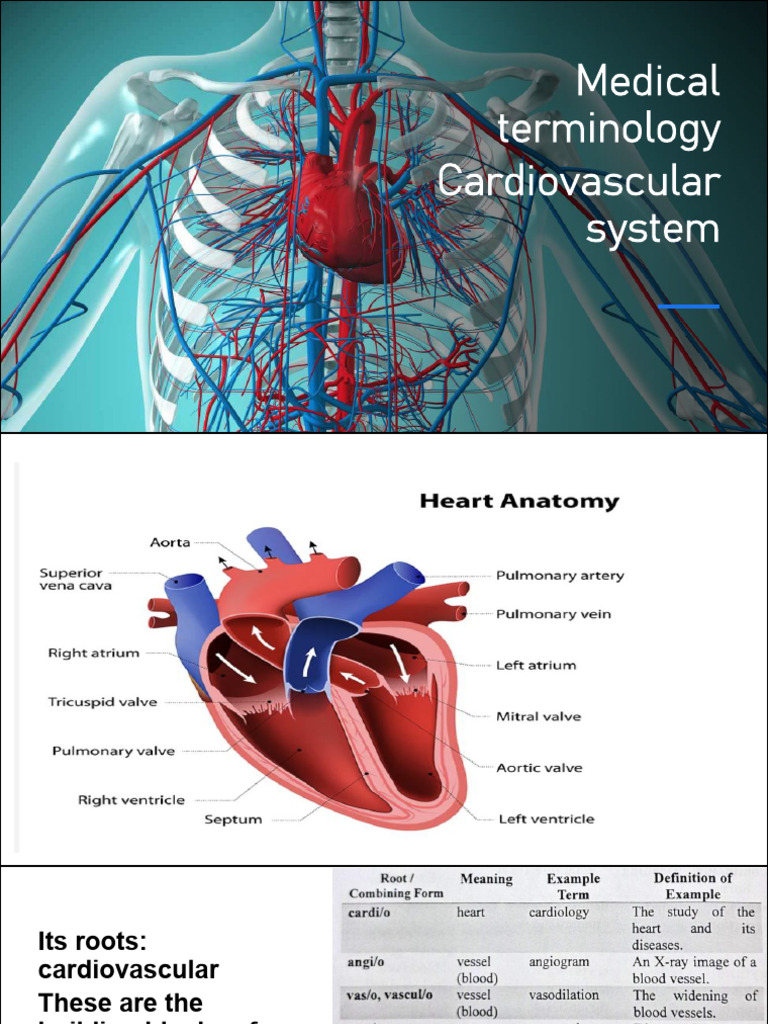 Medical Terminology Lec 3 | PDF