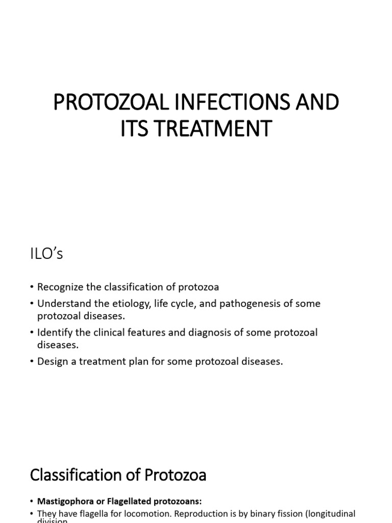 Protozoal Infections: Leishmaniasis Overview | PDF | Infection ...