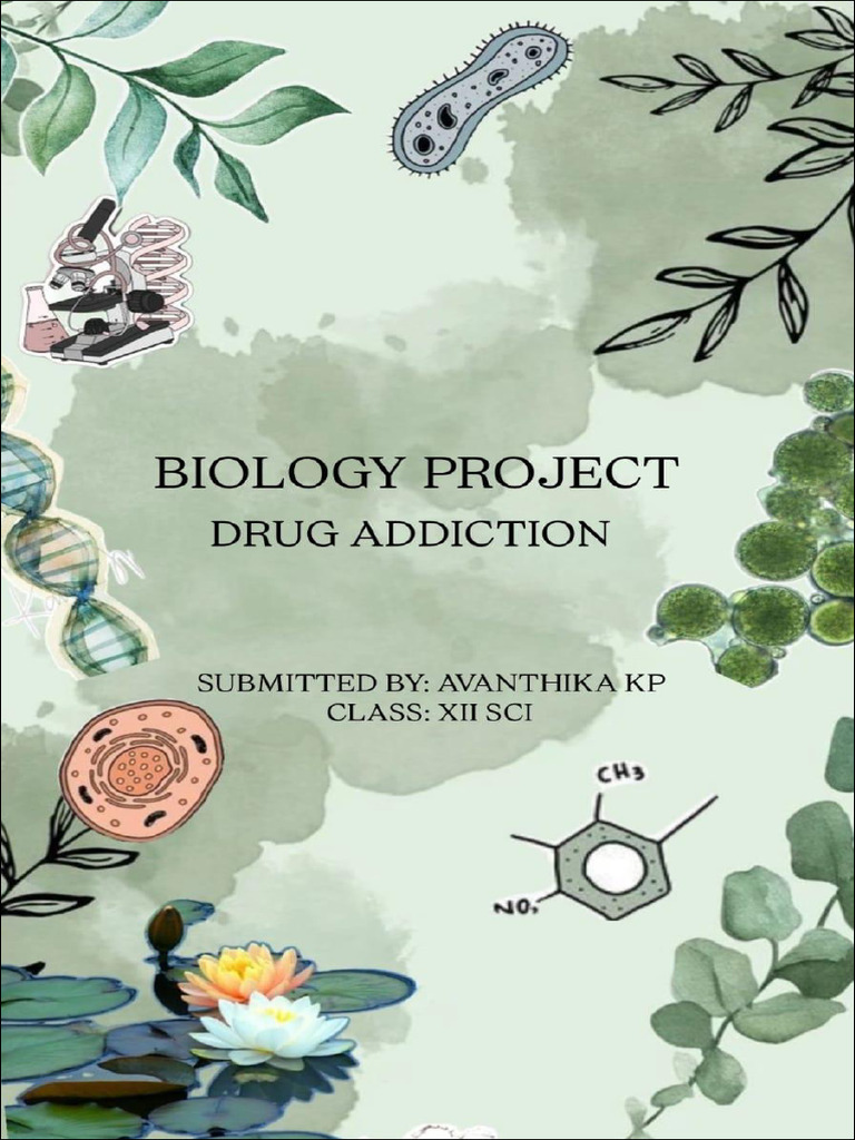 Bio Project | PDF | Alcoholism | Alcohol Abuse