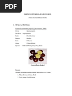 Download Skrining Fitokimia Buah Jengkol II by Yamma Michi Micheoso SN96152817 doc pdf