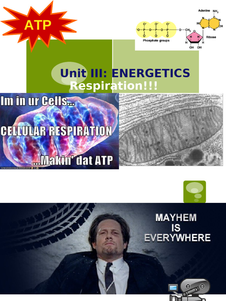 Unit 3 - Cellular Respiration-AP Bio-Completed | PDF | Adenosine ...