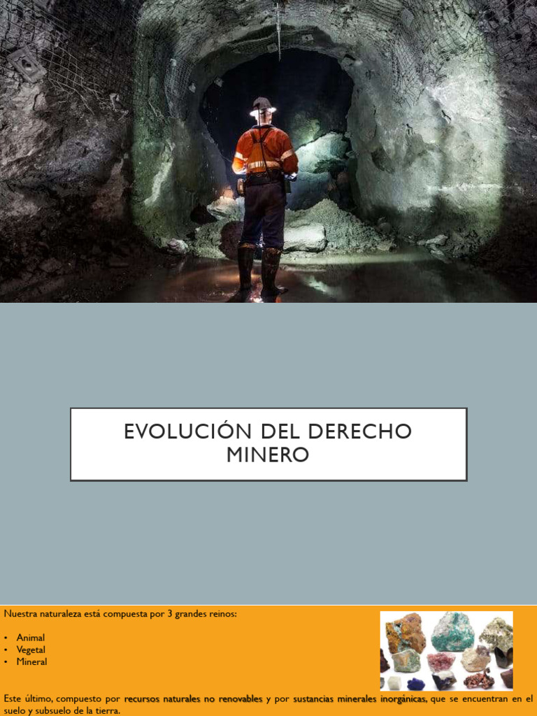 Evolución y Marco del Derecho Minero | PDF | Minería | Propiedad