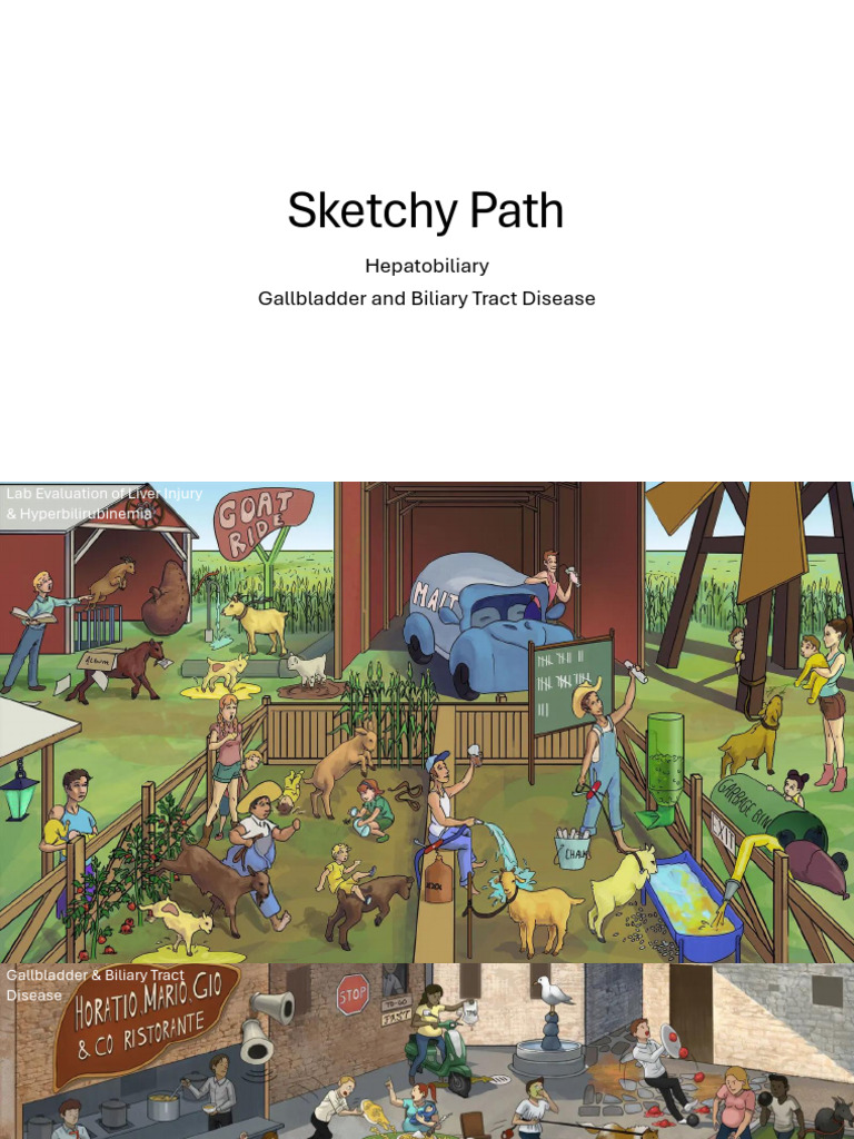 Sketchy Path Hepatobiliary | PDF