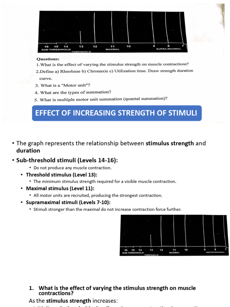 Amphibian Graphs Compiled | PDF | Muscle Contraction | Axon