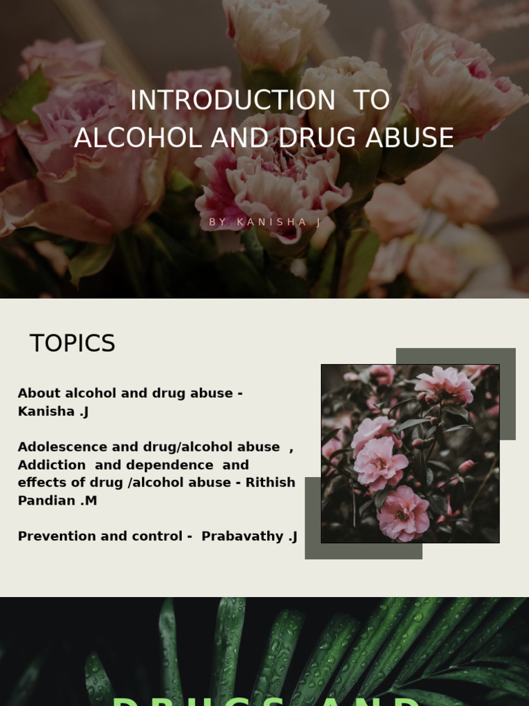 Alcohol and Drug Abuse Overview | PDF | Substance Abuse | Opioid