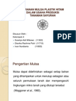 Peranan Mulsa Plastik Hitam Dalam Usaha Produksi Tanaman