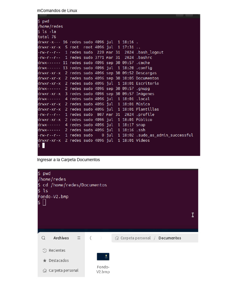 Comandos Esenciales de Linux | PDF