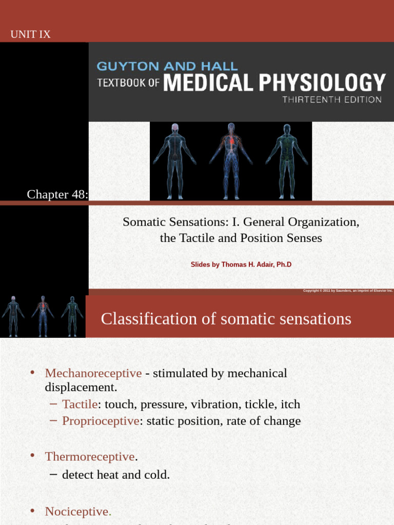 Somatic Sensations, General Organisation, The Tactile and Position ...