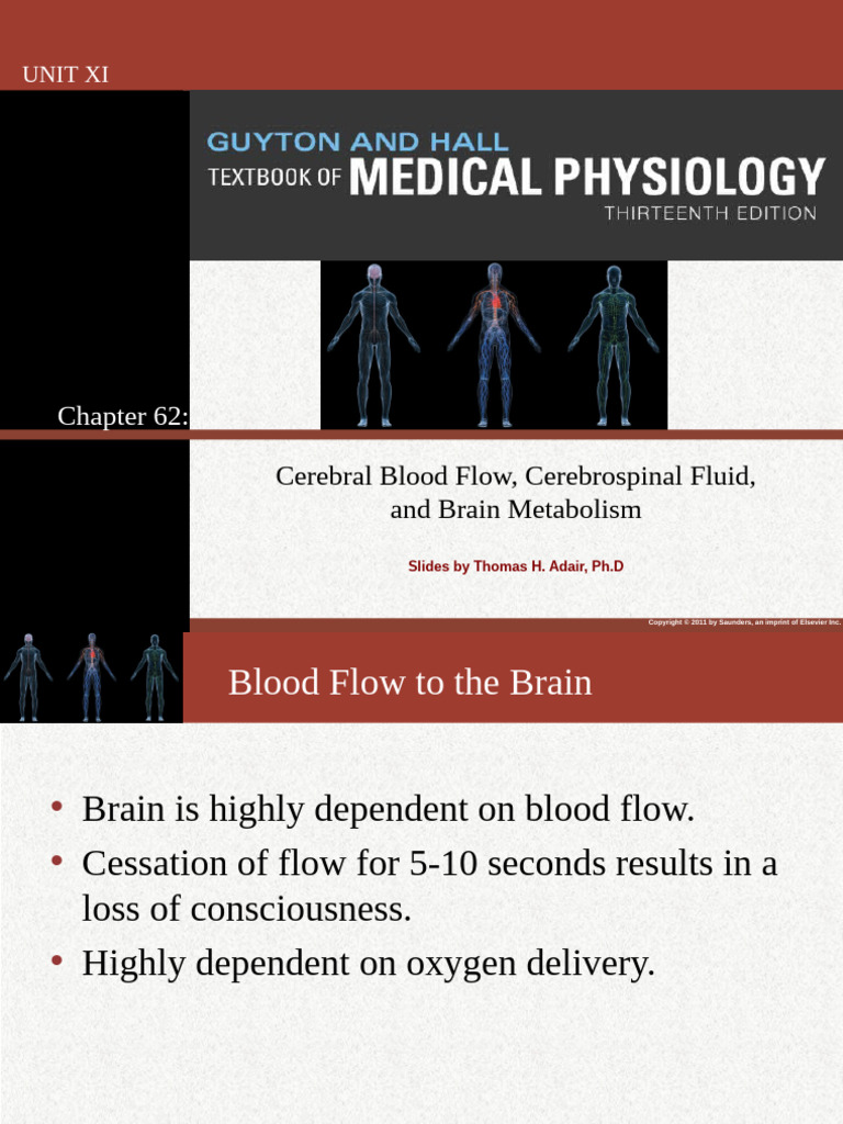 Cerebral Blood Flow, CSF, and Brain Metabolism | PDF | Cerebrospinal ...