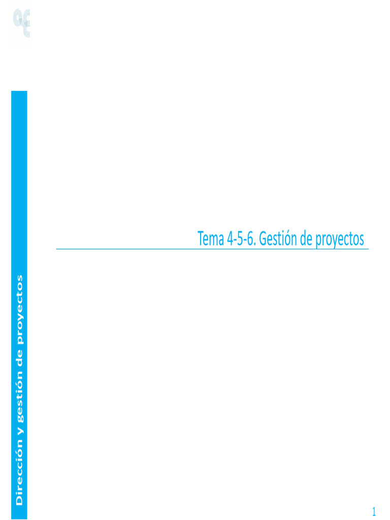 Dgp. Tema 4-5-6. Gestion de Proyectos | PDF | Gestión de proyectos ...