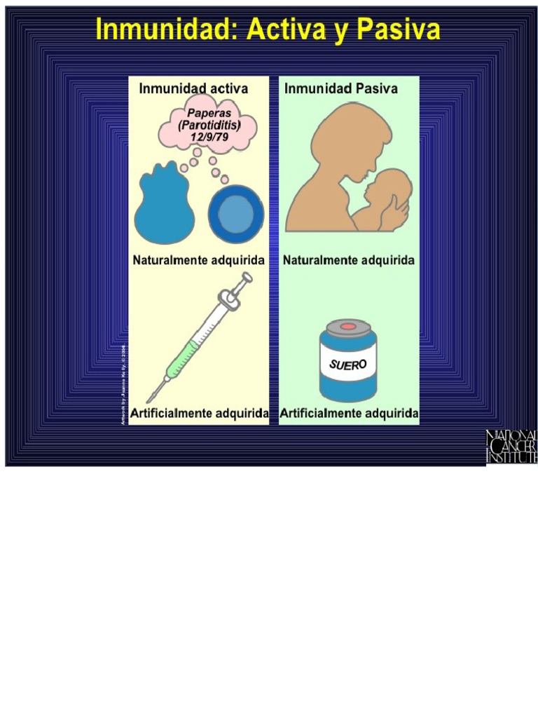 Active vs Passive Immunity Explained | PDF