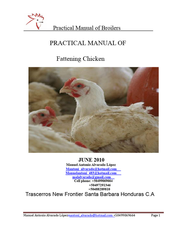 Broiler Chicken Fattening Manual | PDF | Avian Influenza | Infection