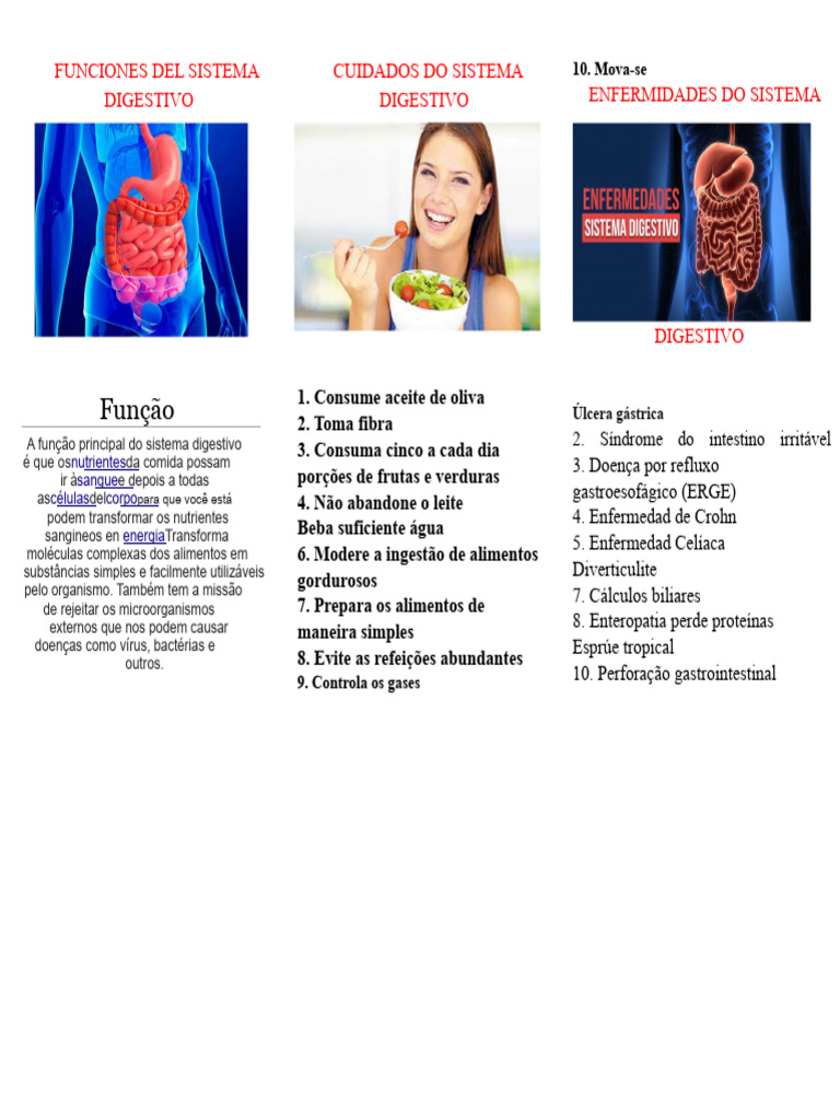 cuidados-e-doen-as-do-sistema-digestivo-pdf