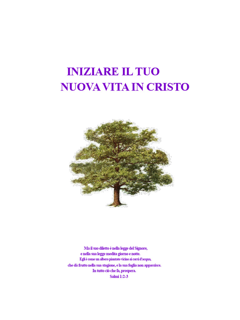 Iniziare La Tua Nuova Vita in Cristo | PDF