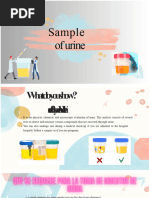 Midstream Urine Sample Collection Guide | PDF | Medical Specialties ...
