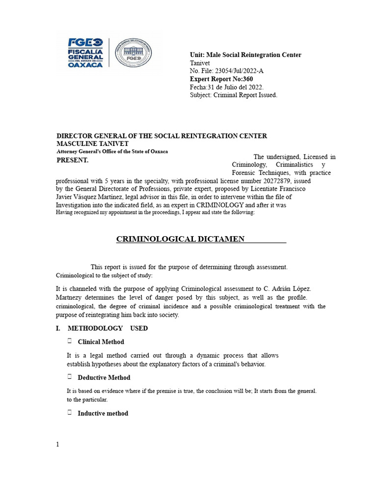 Criminological Assessment Report on Adrián López | PDF | Emotions ...