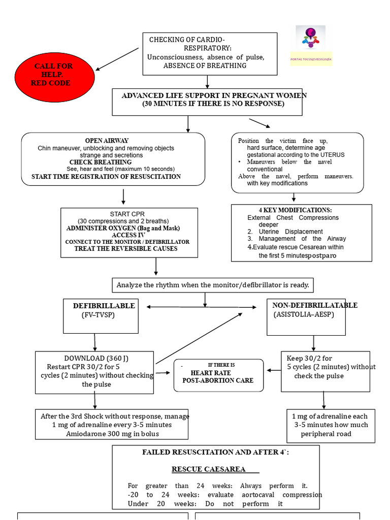 Algorithm CPR in Pregnant Women 2016 O - C - A - J | PDF ...
