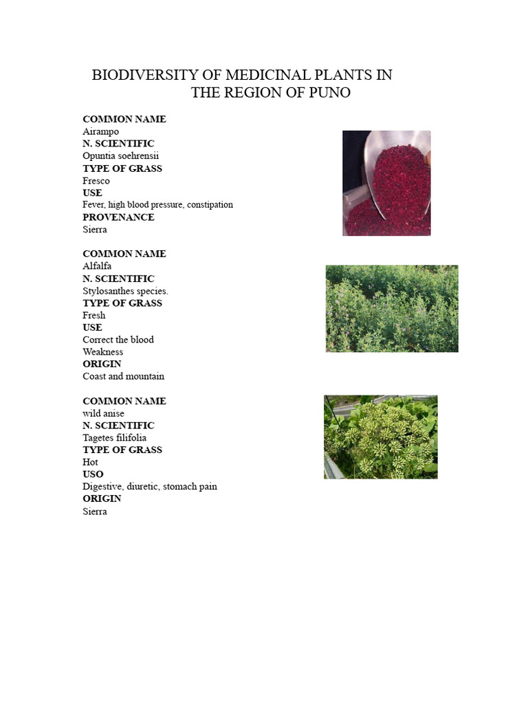 Biodiversity of Medicinal Plants in The Puno Region | PDF