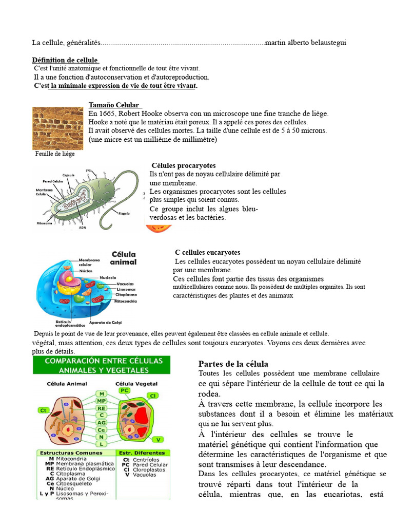 Généralités sur la cellule : types et fonctions | PDF | Cellule ...