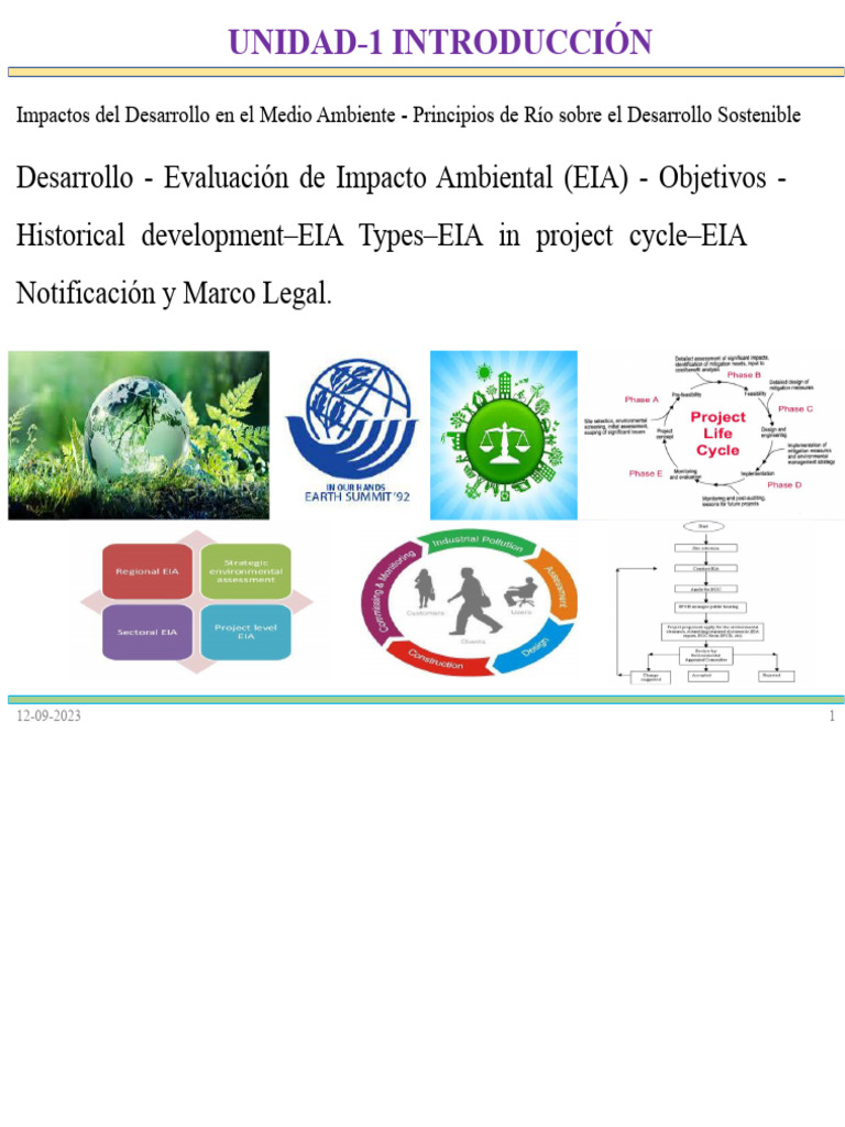 EIA en El Ciclo Del Proyecto | PDF | Evaluación de impacto ambiental ...