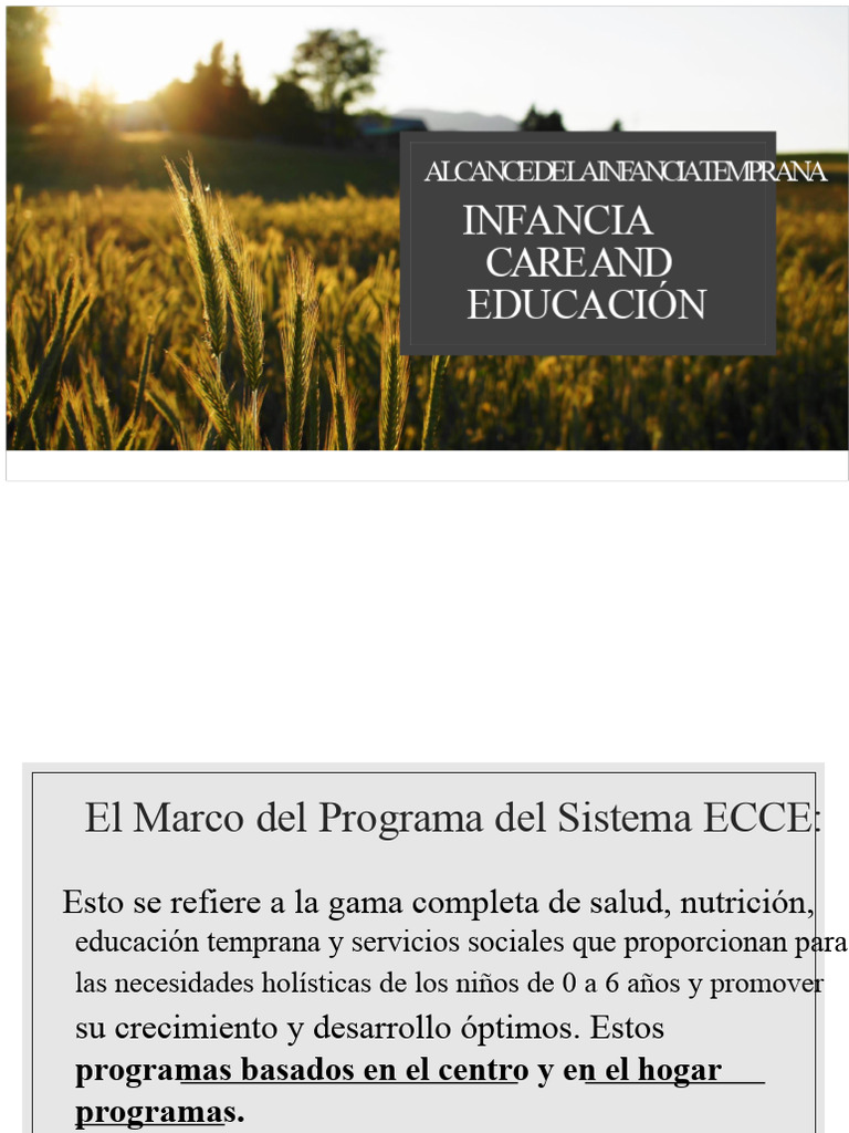 Programa Integral de Educación Infantil | PDF | Educación de la primera ...