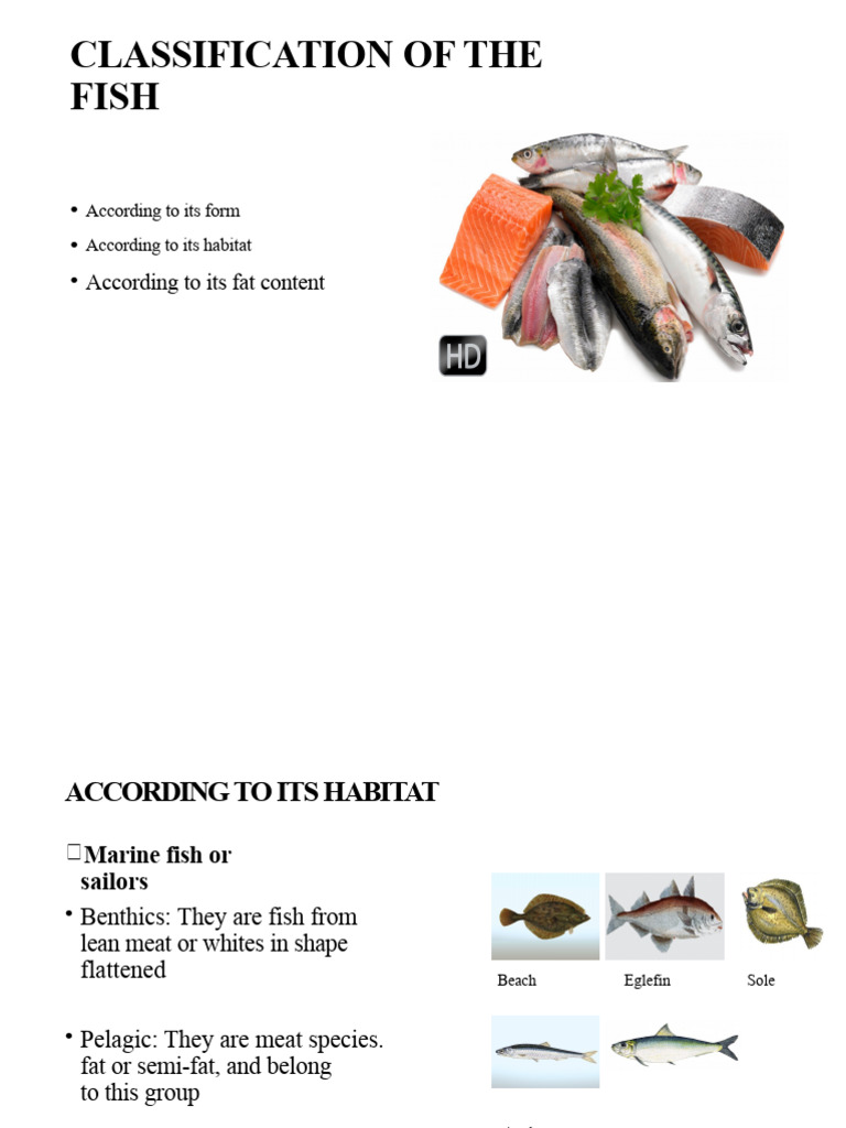 Classification of Fish | PDF | Cooking | Sautéing
