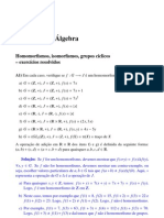 Introd Algebra - Exercicios Resolvidos 3 - Lenimar N Andrade