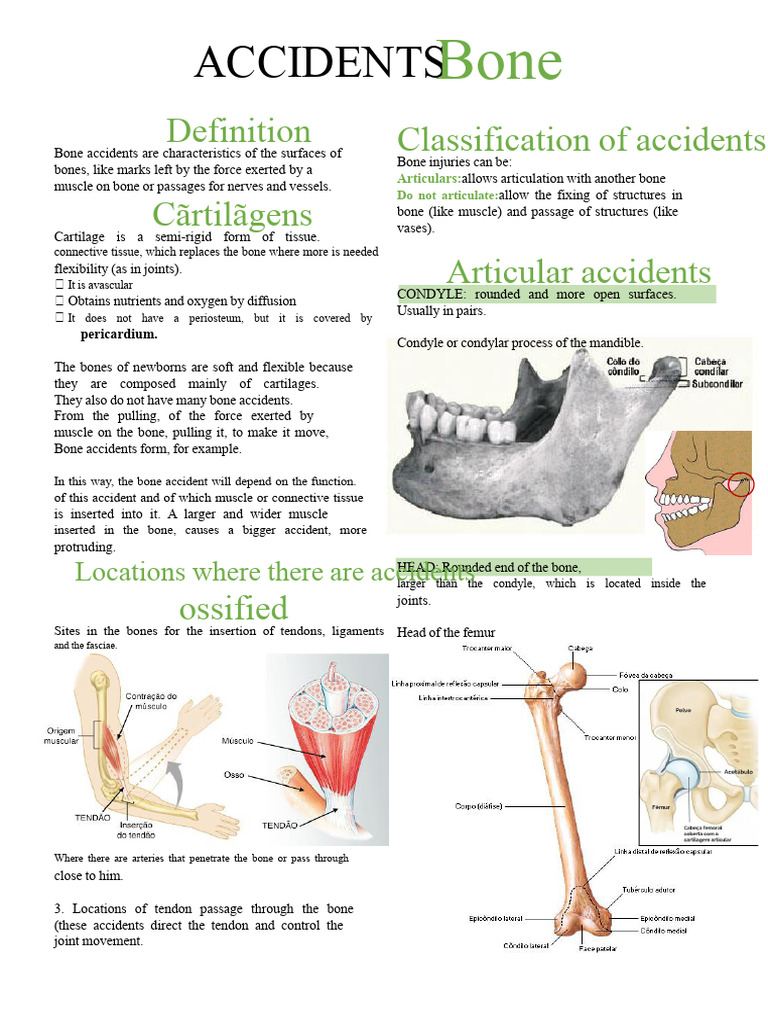 Understanding Bone Injuries and Accidents | PDF | Vertebra ...