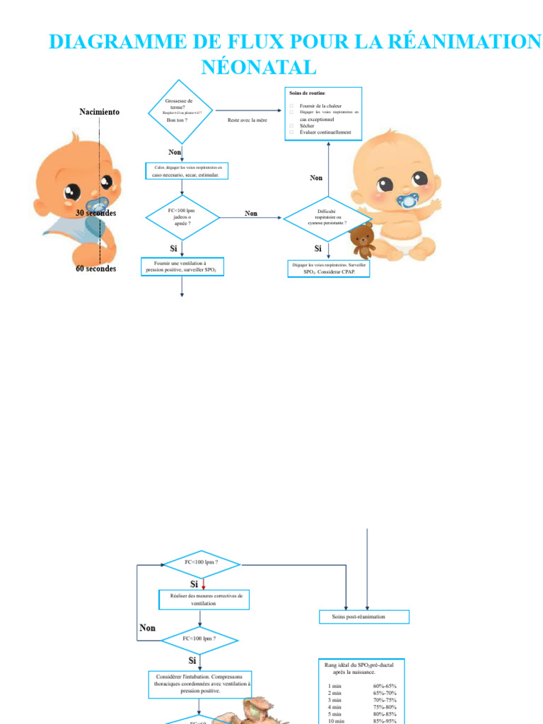 Diagramme de Flux Réanimation Néonatale | PDF | Réanimation cardio ...