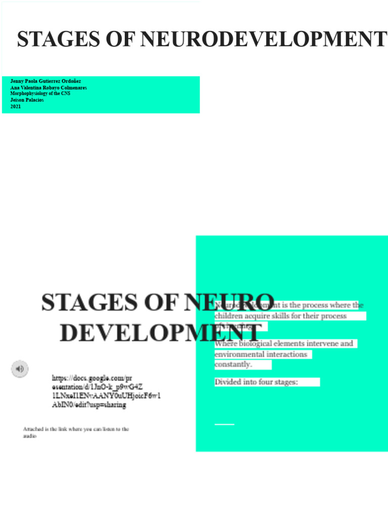 STAGES OF NEURODEVELOPMENT (1) | PDF | Brain | Hypothalamus