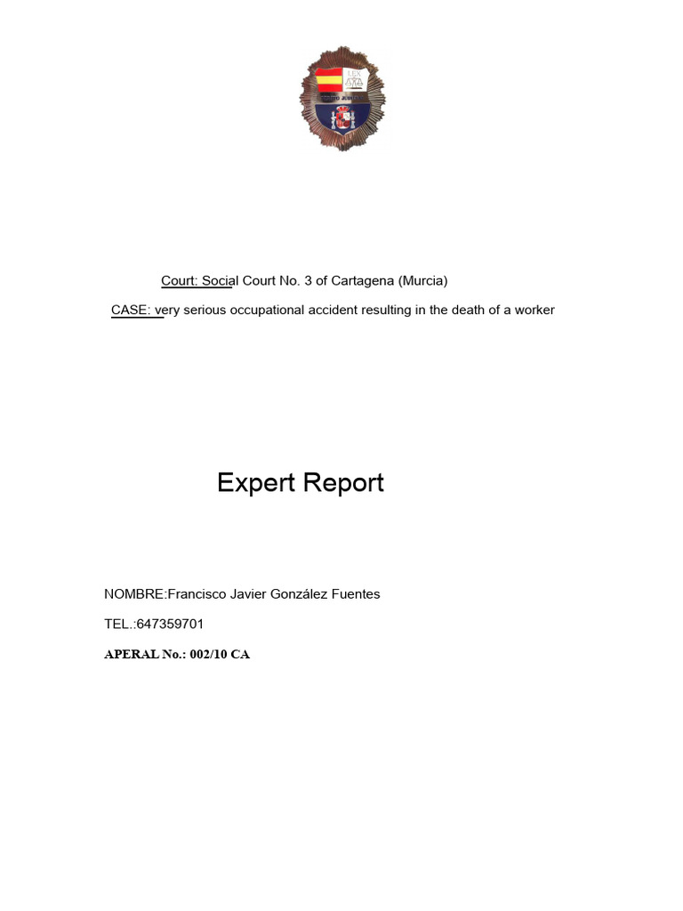 Expert Report on Fatal Workplace Accident | PDF