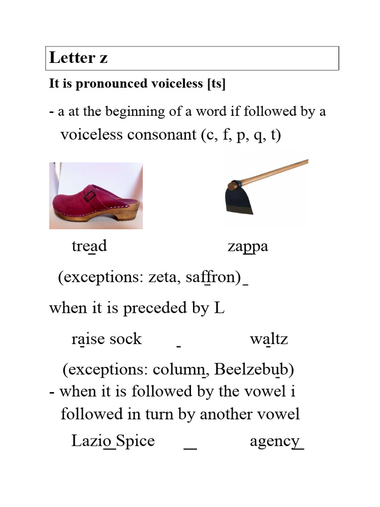 Exercises 6 - Voiceless Z and Voiced Z (11/23/2021) | PDF