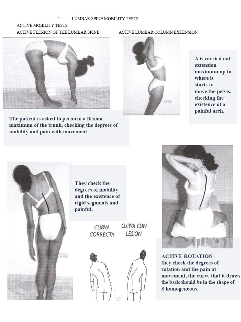 Lumbar Spine Mobility Tests | PDF | Anatomical Terms Of Motion | Hand
