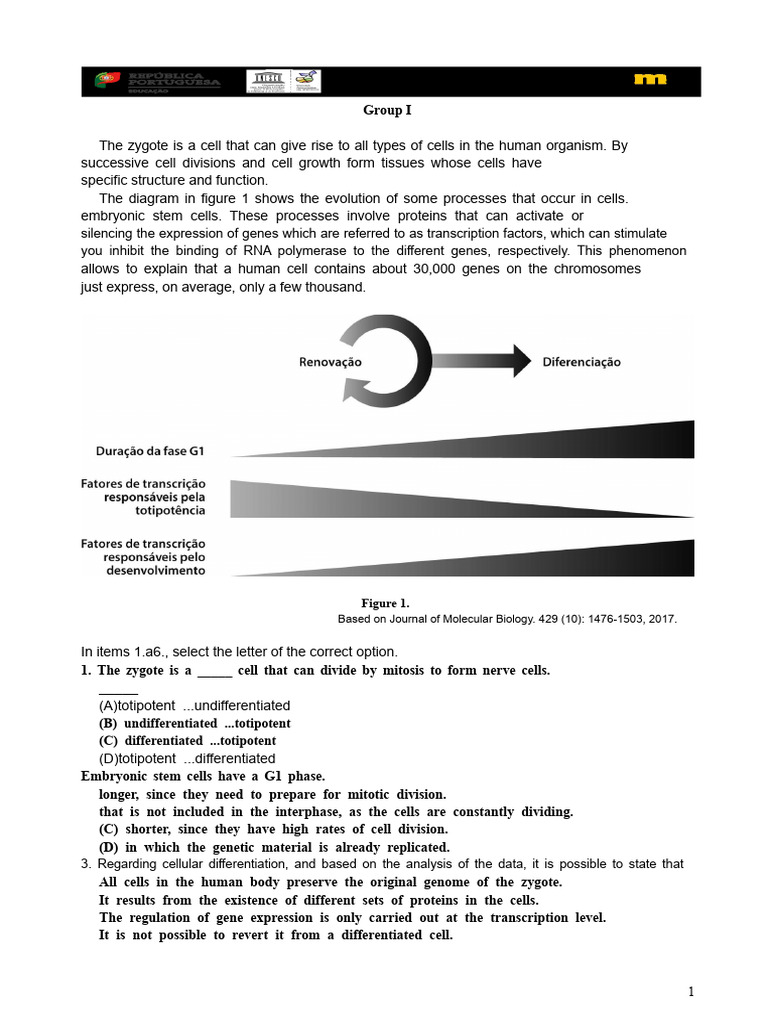 2021 BioGeo11 Test2 Port Editor | PDF | Meiosis | Chromosome