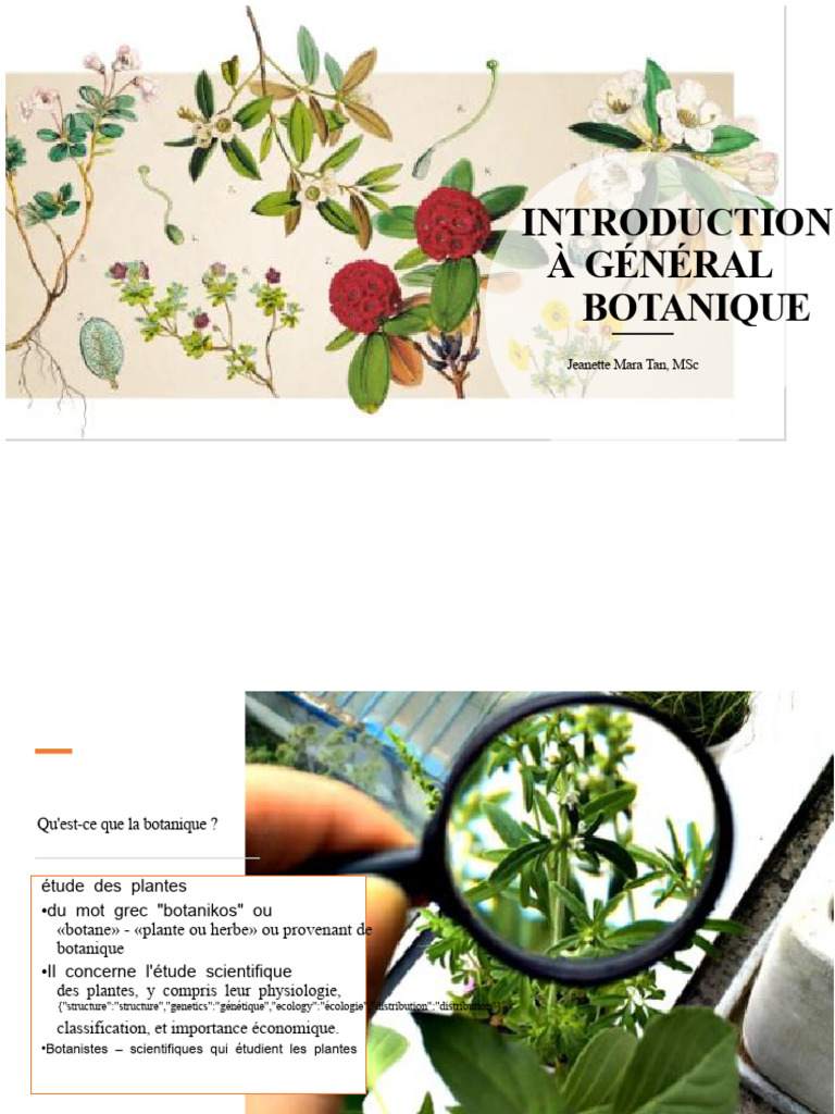 Introduction à la botanique et ses branches | PDF | Botanique | Plantes